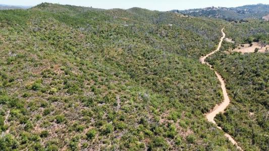 8519 Maranatha Lane, Mokelumne Hill, קליפורניה 95245, ארצות הברית של אמריקה