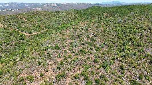 8519 Maranatha Lane, Mokelumne Hill, קליפורניה 95245, ארצות הברית של אמריקה