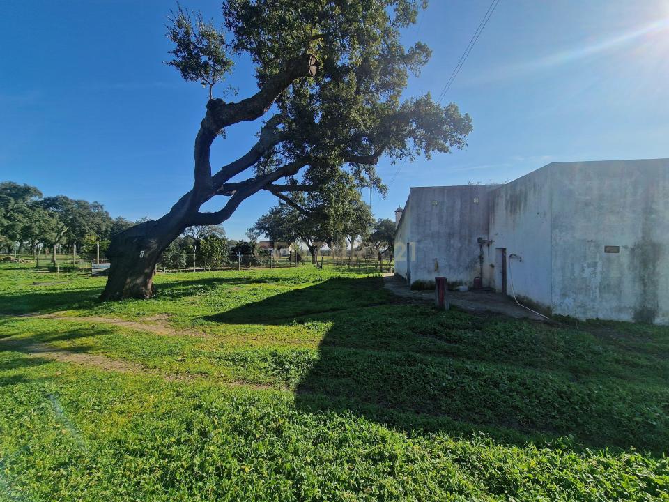 Santiago Do Cacém, Setúbal 7540-011, Portugal