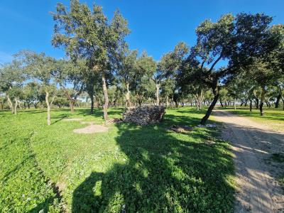 Santiago Do Cacém, Setúbal 7540-011, Portugal