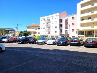 Cadaval, Lisbon 2550-103, Portugal