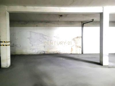 Cadaval, Lisbon 2550-103, Portugal