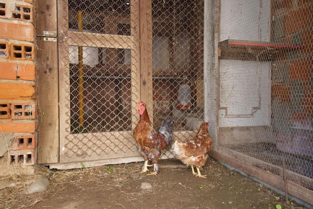 Chamusca, Santarem 2140-662, Portugal