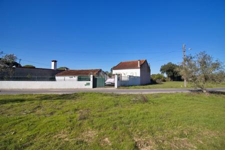 Chamusca, Santarem 2140-662, Portugal