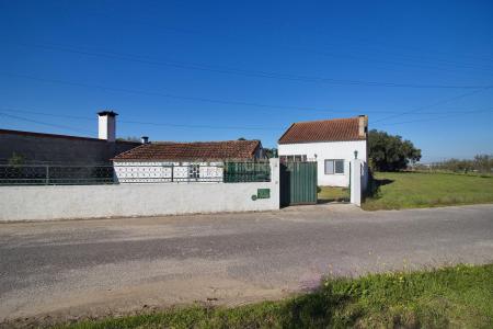 Chamusca, Santarem 2140-662, Portugal