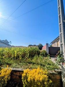Oliveira Do Bairro, آويرو 3770-303, البرتغال