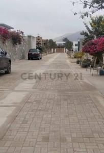 HH.UU Predio Parcela Sector Macacona , Ica, Ica 00001, Peru