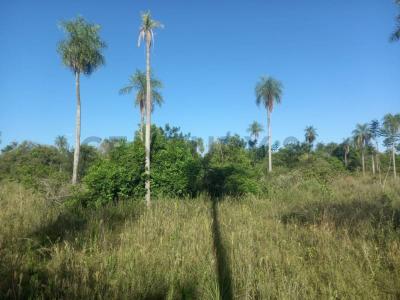 Aguaity- Eusebio Ayala , Eusebio Ayala, Cordillera 3090, Paraguay