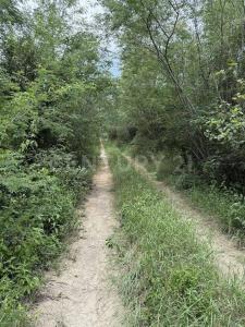 Cadereyta Jiménez, Nuevo León 67485, México