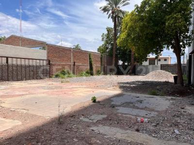 Av. Morelos y Callejon H. Galeana #458,, Ahome, Sinaloa 81200, México