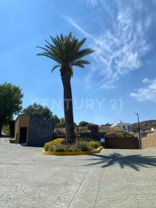 Vilatana 39,, Atizapán De Zaragoza, Estado De México 52927, México