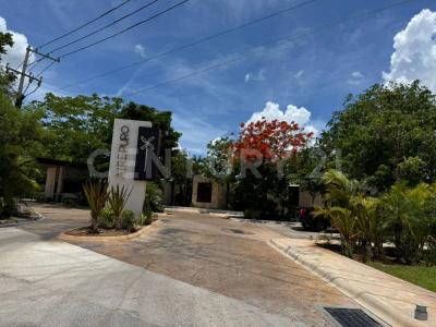 35 SN,, Progreso, Yucatán 97334, Mexico