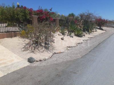 Calle Vista Mar S/N,, La Paz, Bassa California Del Sud 23201, Messico