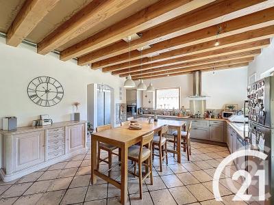 Cavaillon, Provence-Alpes-Côte D'Azur 84300, França