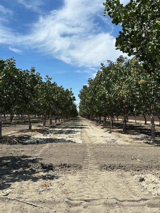 Lansing Ave, Lemoore, Californie 93245, États-Unis