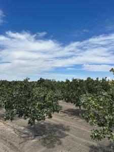 Lansing Ave, Lemoore, Californie 93245, États-Unis