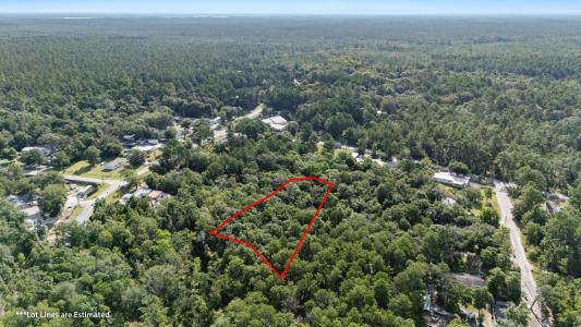 Lot X Old Jolly Bay Lane, Freeport, Florida 32439, Stati Uniti