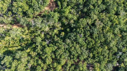 Lot X Old Jolly Bay Lane, Freeport, Florida 32439, Stati Uniti