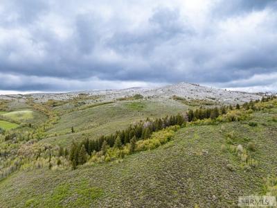 TBD NYD Buckskin Road, POCATELLO, Idaho 83201, Estados Unidos