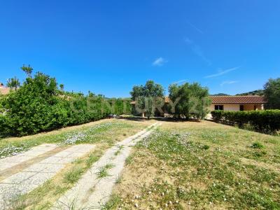 Via san martino, Castiglione Della Pescaia, Toscana 58043, İtalya