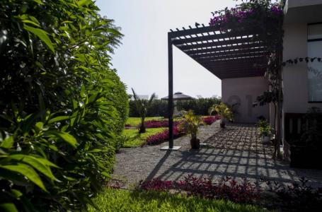 Fundo Hass Country Club - Km 203 Chincha Baja , Chincha, Ica 00001, Peru