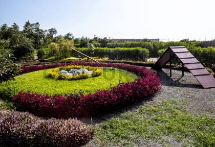Fundo Hass Country Club - Km 203 Chincha Baja , Chincha, Ica 00001, Peru