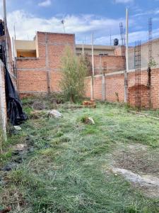 Del Tortillo 0,, Arandas, Jalisco 47182, México