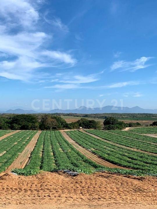 Santa Maria Cortijo, ولاية واهاكا 71655, المكسيك
