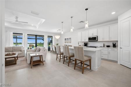 3664 Passion Vine Drive, Alva, 佛罗里达州 33920, 美国