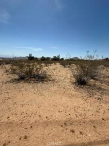 0 Ocotilla, Apple Valley, Kalifornia 92307, USA