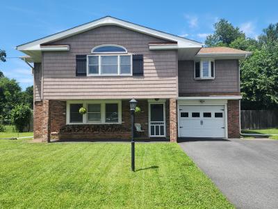 15 Prospect Ave , Hamburg, NJ 07419, USA