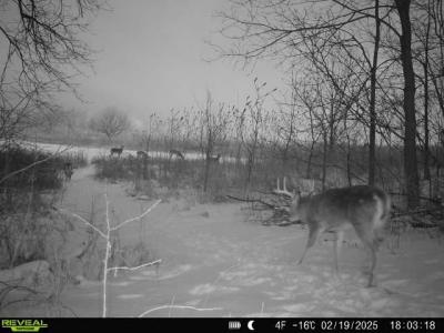 86 Ac County Road S, Gays Mills, Wisconsin 54631, Stati Uniti