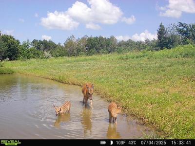 86 Ac County Road S, Gays Mills, Wisconsin 54631, Stati Uniti