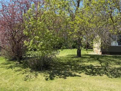 240 MCKENZIE STREET SOUTH, Shoal Lake, Manitoba R0J 1Z0, Canada