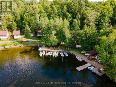3437 KASHAGAWIGAMOG LAKE ROAD, Dysart Et Al (dysart), أونتاريو K0M 1S0, كندا