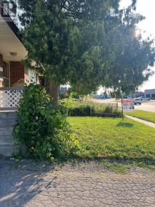 257 CORDOVA ROAD, Oshawa (lakeview), 安大略省 L1J 1P1, 加拿大