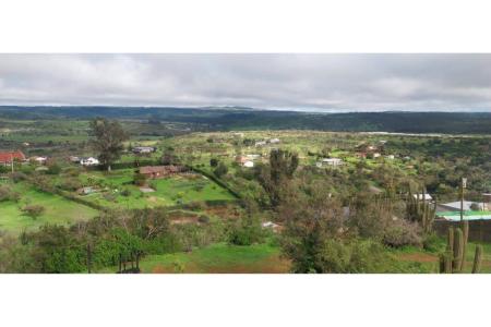 Curacaví, Región Metropolitana De Santiago 00001, 智利