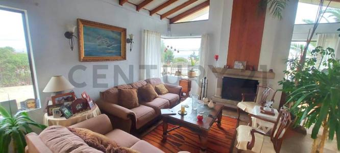 Elqui, Coquimbo 00001, Chi-Lê