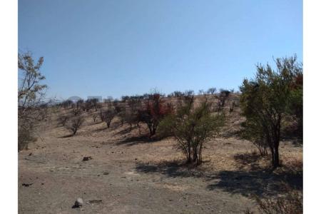 Chacabuco, Región Metropolitana De Santiago 00001, Şili