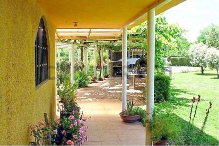Huerto, Biobío, Región Del Biobío 00001, Chili
