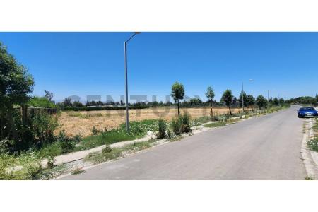 Chacabuco, Región Metropolitana De Santiago 00001, Şili