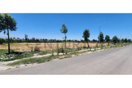 Chacabuco, Región Metropolitana De Santiago 00001, Şili