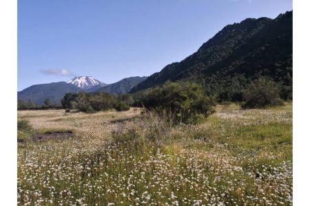Malleco, Región De La Araucanía 00001, Chili