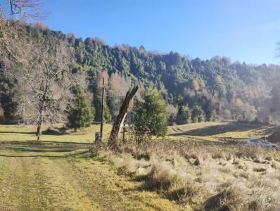 Cautín, Región De La Araucanía 00001, Cile