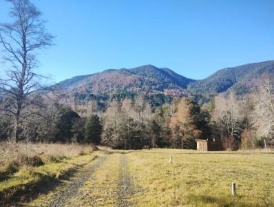 Cautín, Región De La Araucanía 00001, Cile