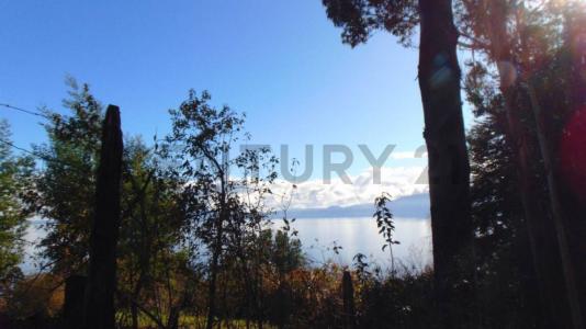 Cautín, Región De La Araucanía 00001, Chile