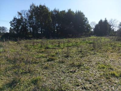 Punilla, Región De Ñuble 00001, 智利