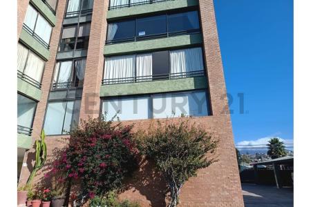Elqui, Coquimbo 00001, Chile