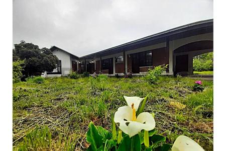 Diguillín, Región De Ñuble 00001, Chile