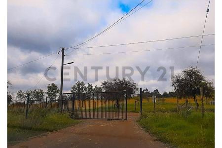 Punilla, Región De Ñuble 00001, Chile